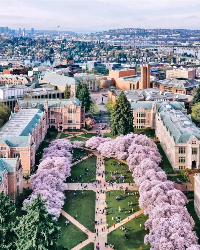 密歇根大学安娜堡分校